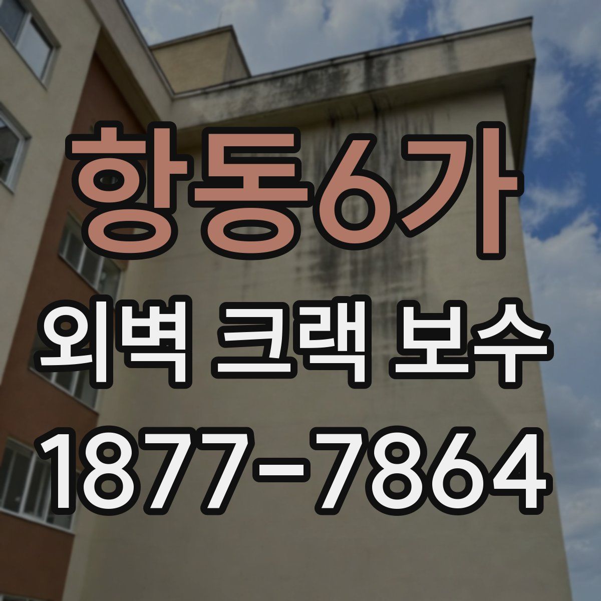 항동6가 외벽 크랙 보수