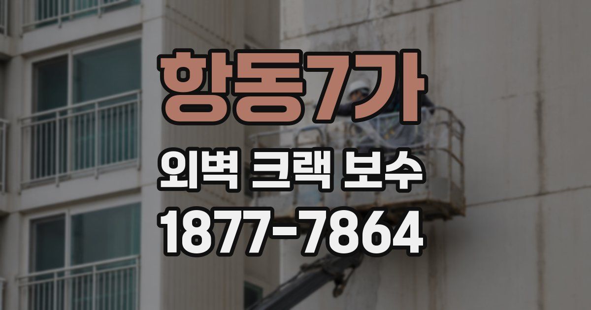 항동7가 외벽 크랙 보수