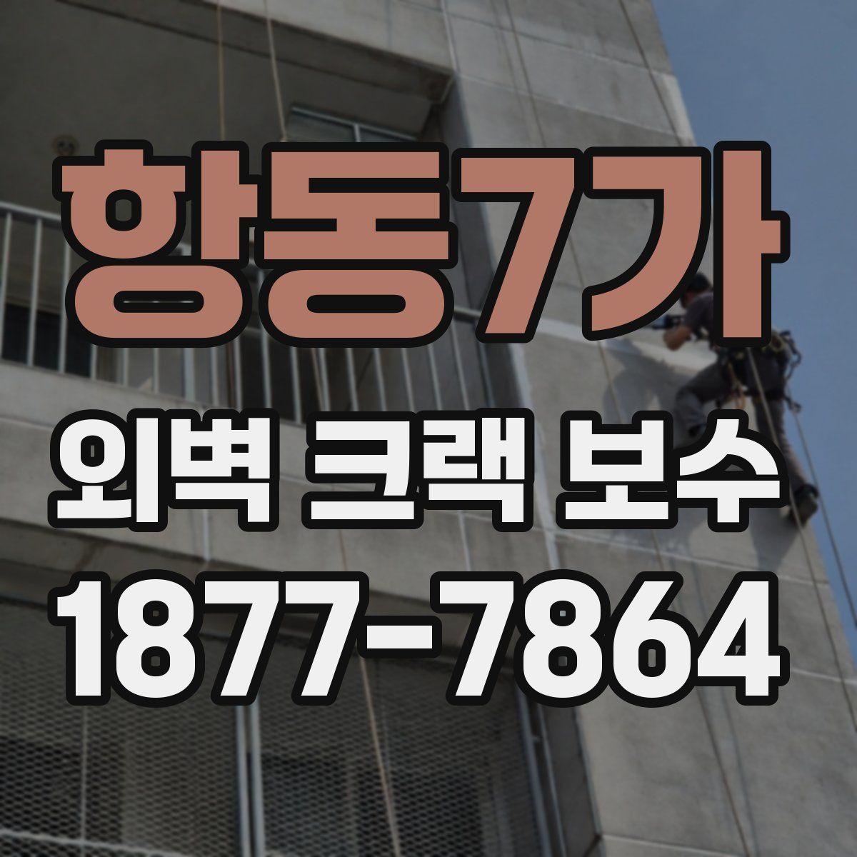 항동7가 외벽 크랙 보수
