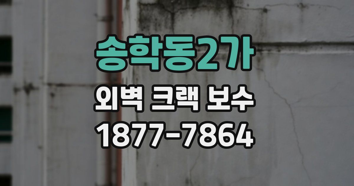 송학동2가 외벽 크랙 보수