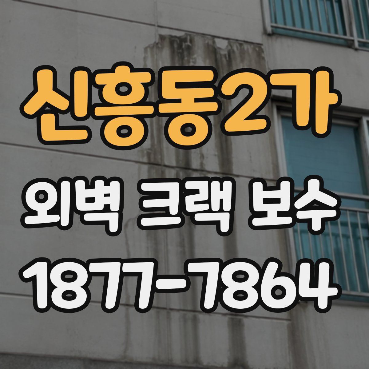 신흥동2가 외벽 크랙 보수
