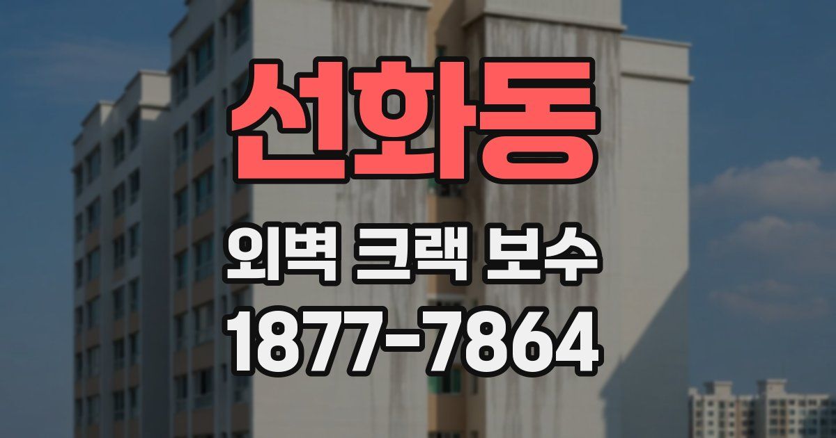 선화동 외벽 크랙 보수