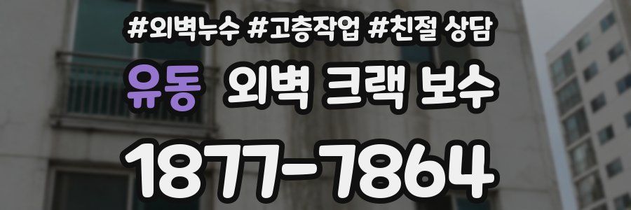 유동 외벽 크랙 보수
