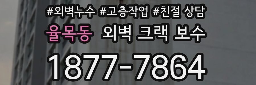 율목동 외벽 크랙 보수