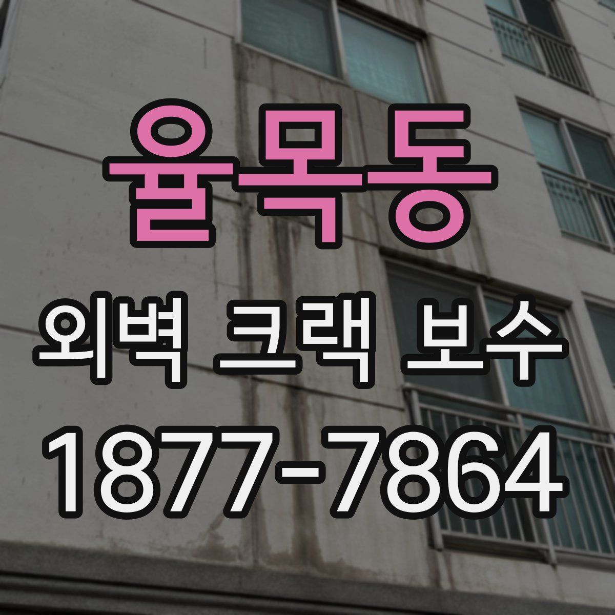 율목동 외벽 크랙 보수