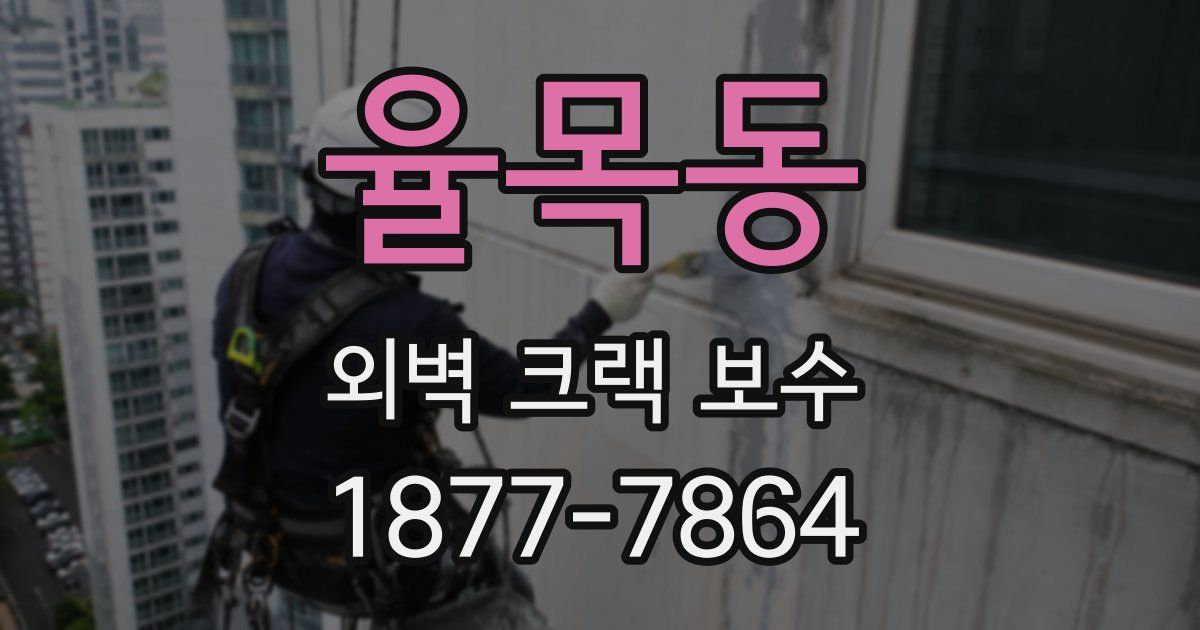 율목동 외벽 크랙 보수