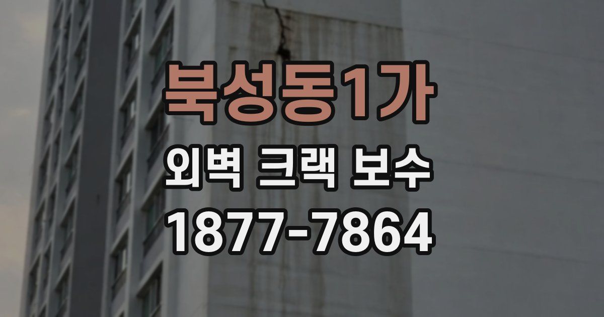 북성동1가 외벽 크랙 보수