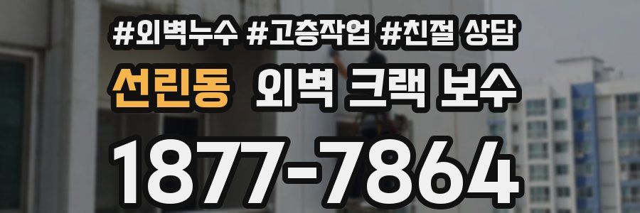 선린동 외벽 크랙 보수