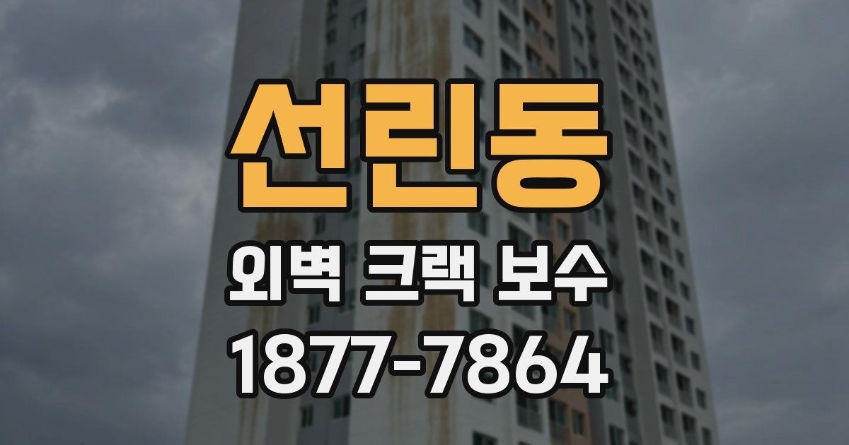 선린동 외벽 크랙 보수