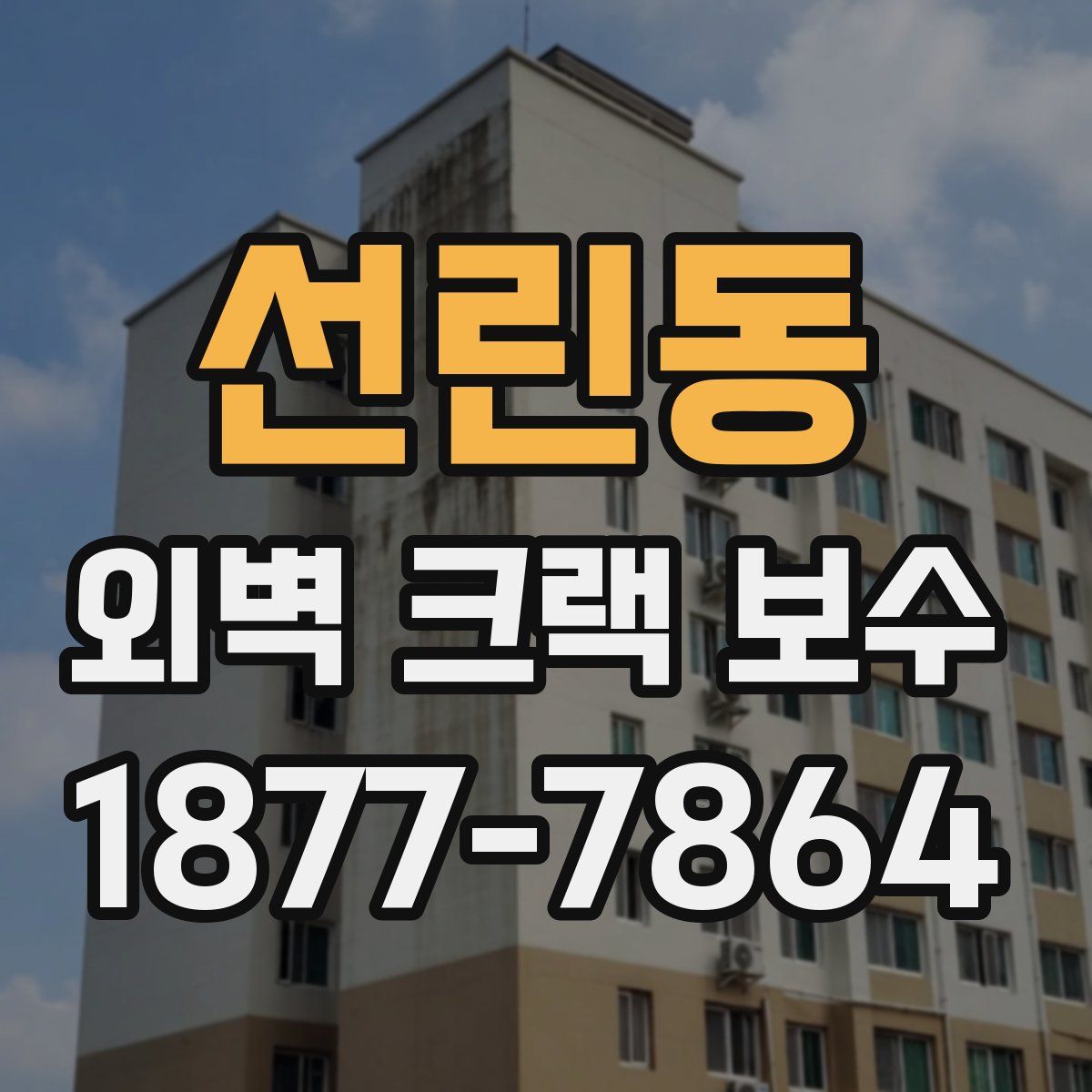 선린동 외벽 크랙 보수