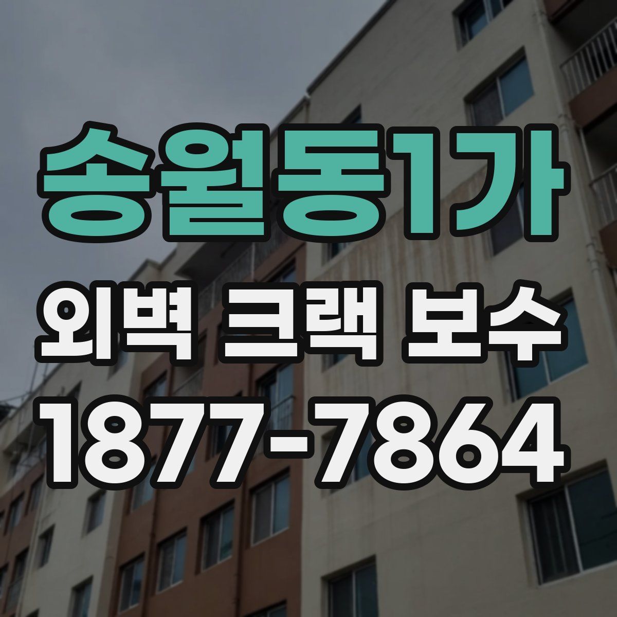 송월동1가 외벽 크랙 보수