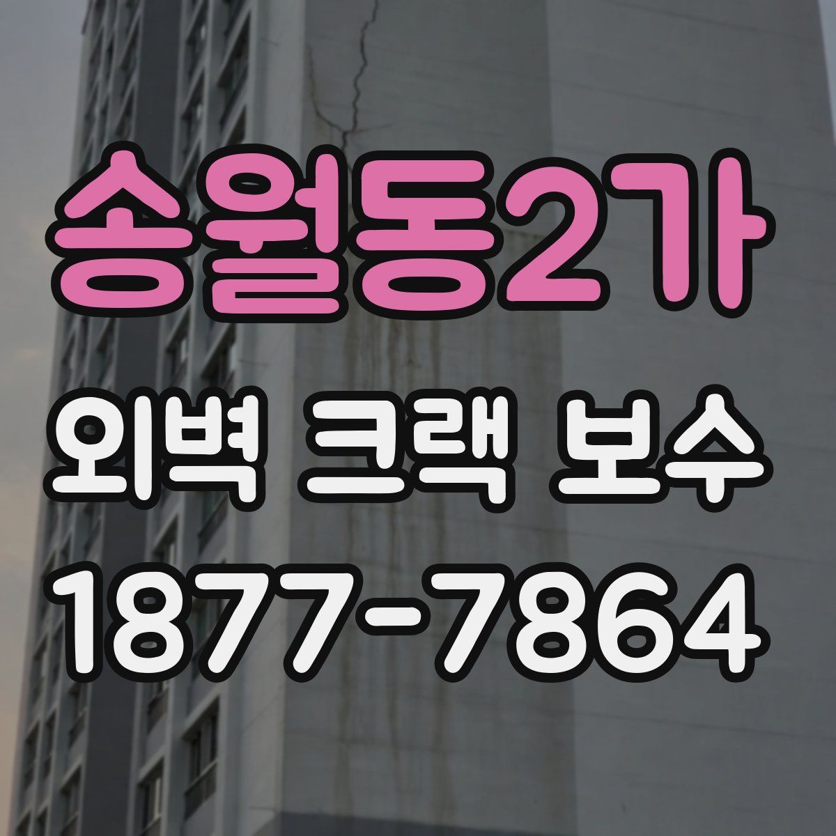 송월동2가 외벽 크랙 보수