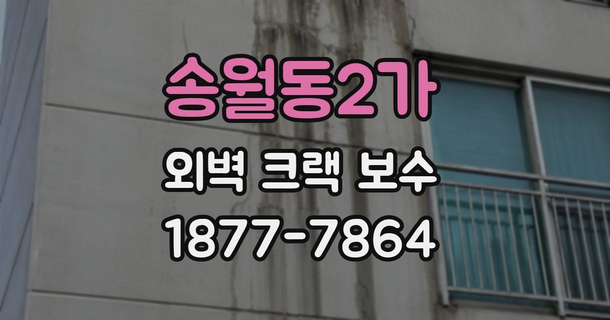 송월동2가 외벽 크랙 보수