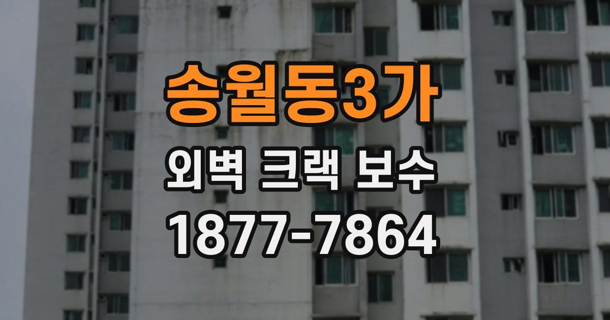 송월동3가 외벽 크랙 보수