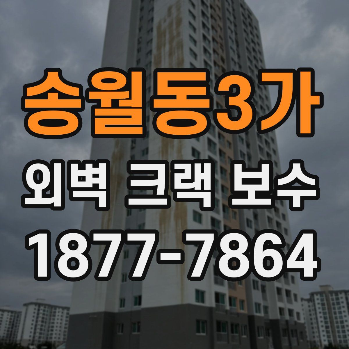 송월동3가 외벽 크랙 보수