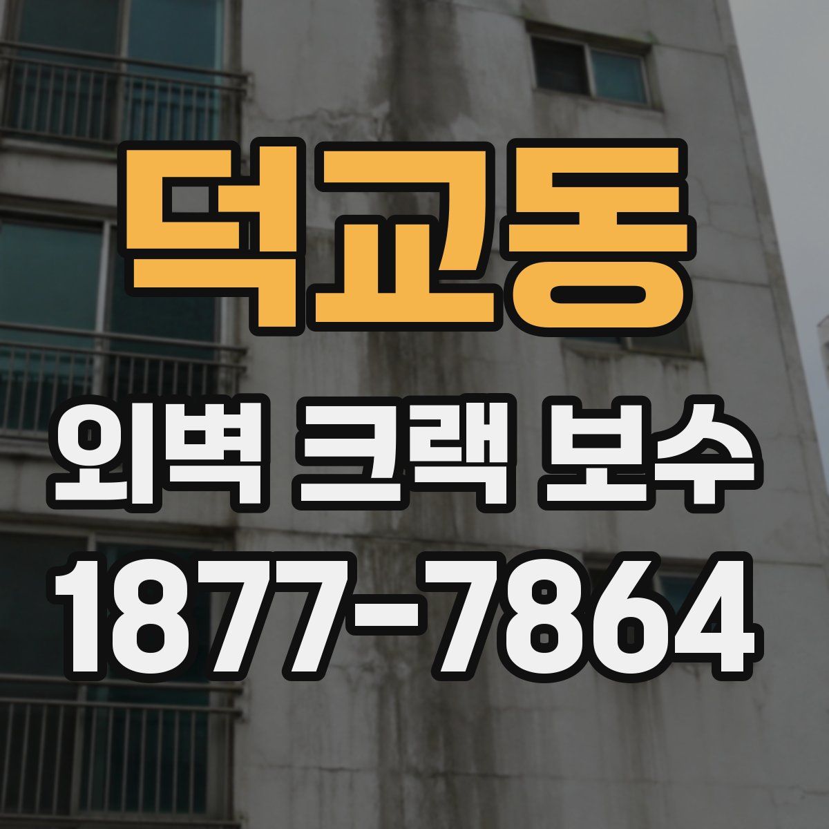 덕교동 외벽 크랙 보수