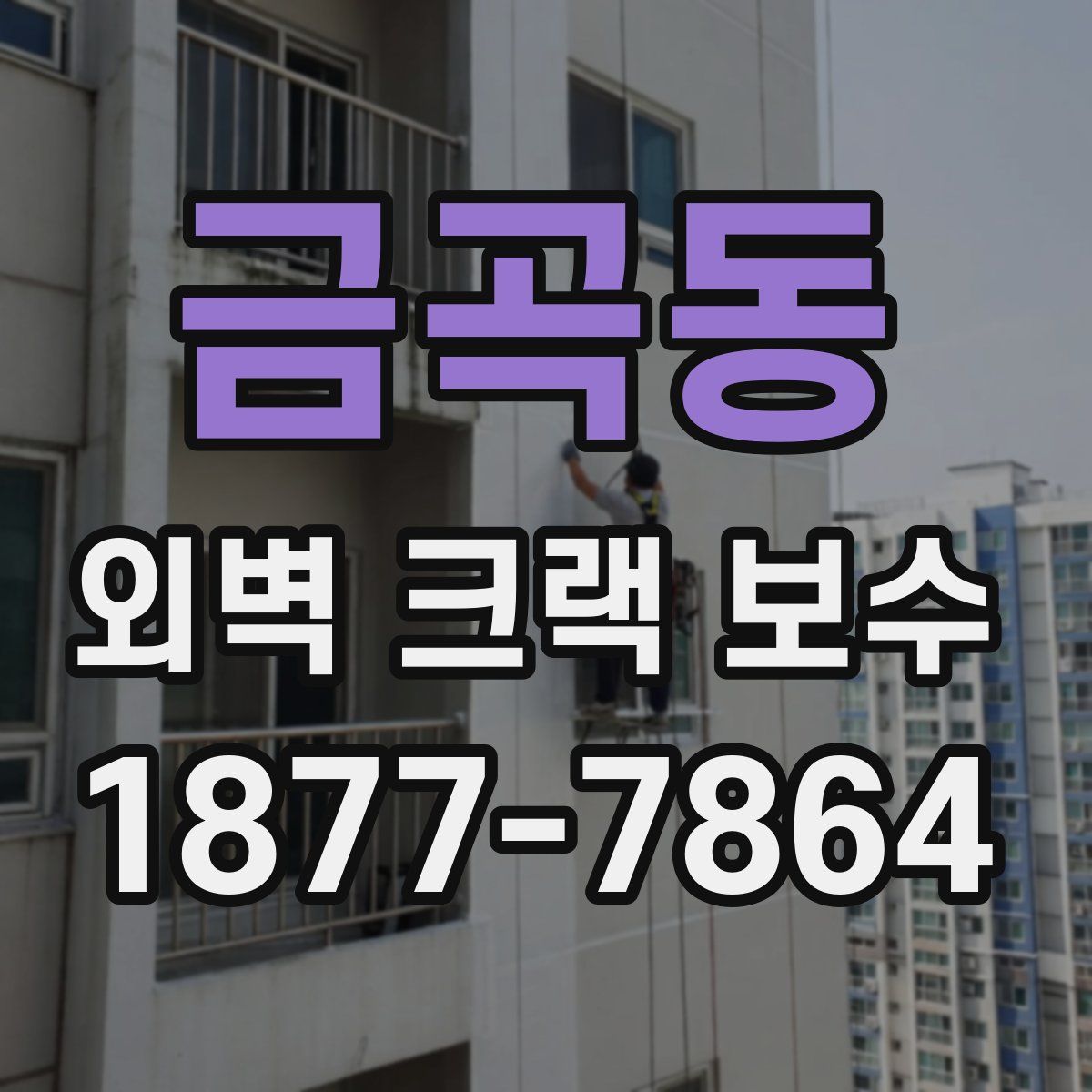 금곡동 외벽 크랙 보수