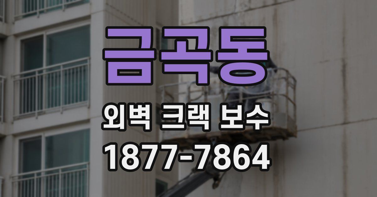 금곡동 외벽 크랙 보수
