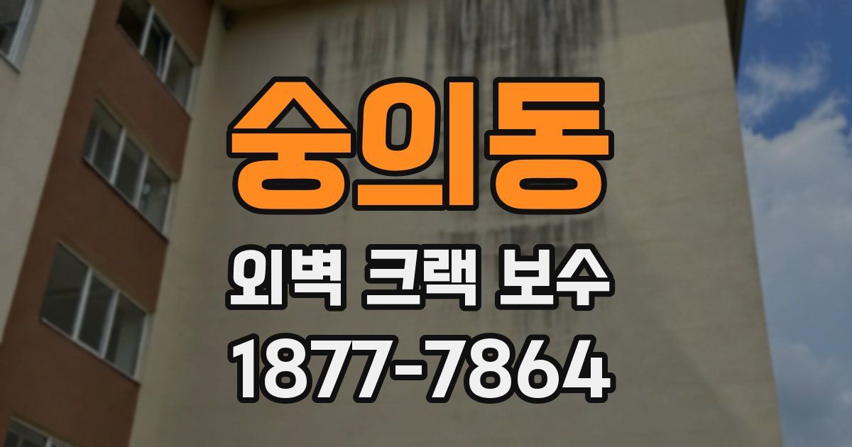 숭의동 외벽 크랙 보수