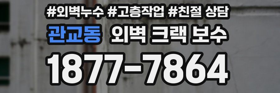 관교동 외벽 크랙 보수