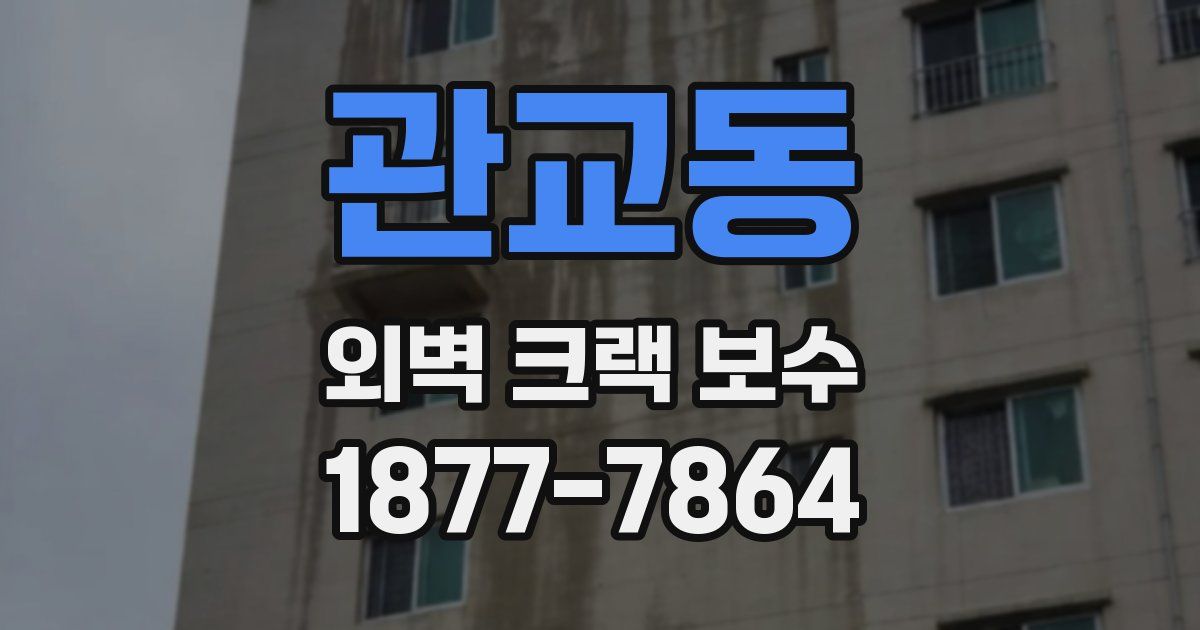관교동 외벽 크랙 보수