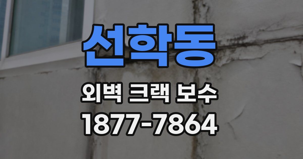 선학동 외벽 크랙 보수