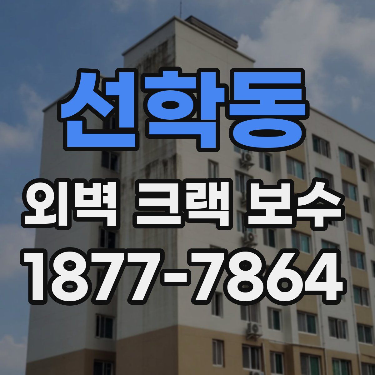선학동 외벽 크랙 보수
