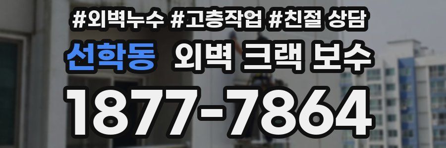 선학동 외벽 크랙 보수