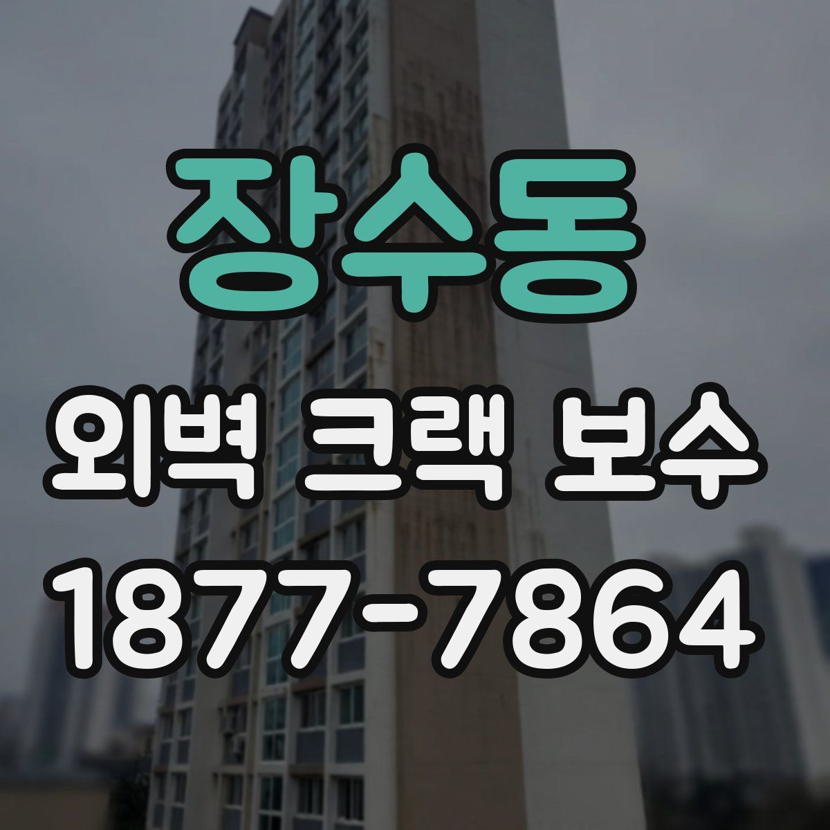 장수동 외벽 크랙 보수