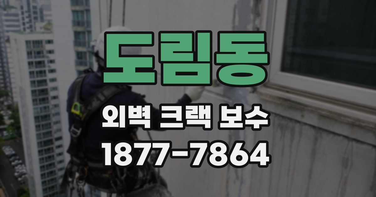 도림동 외벽 크랙 보수