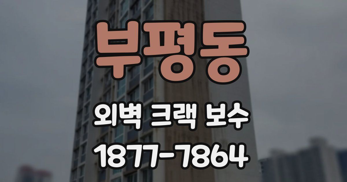 부평동 외벽 크랙 보수