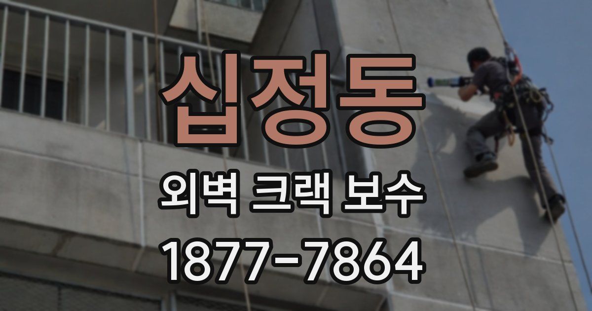십정동 외벽 크랙 보수