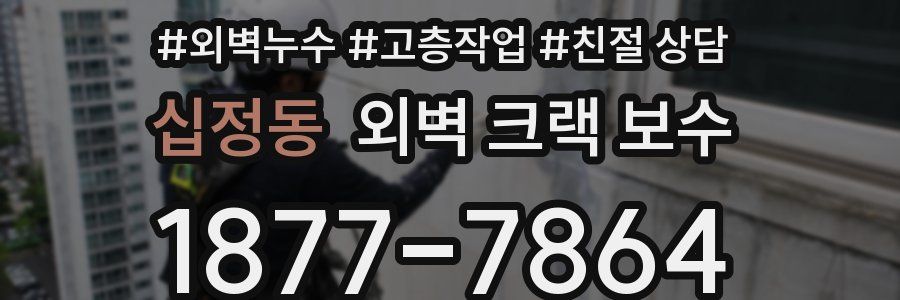 십정동 외벽 크랙 보수
