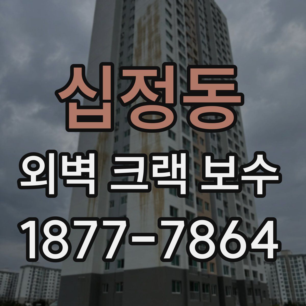 십정동 외벽 크랙 보수