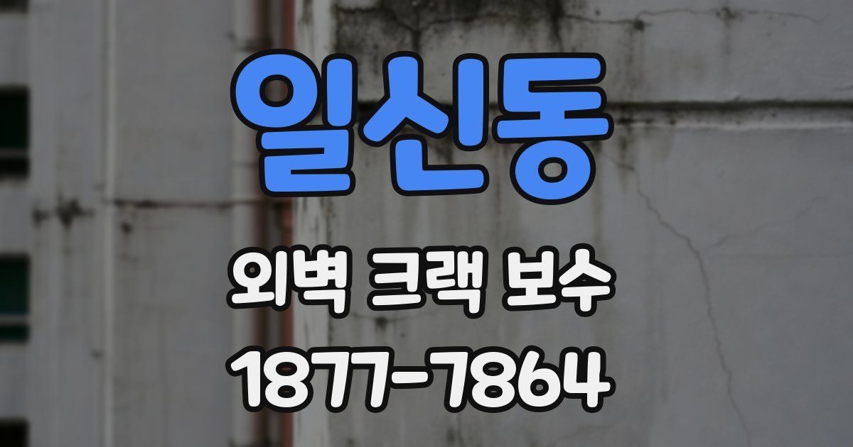 일신동 외벽 크랙 보수
