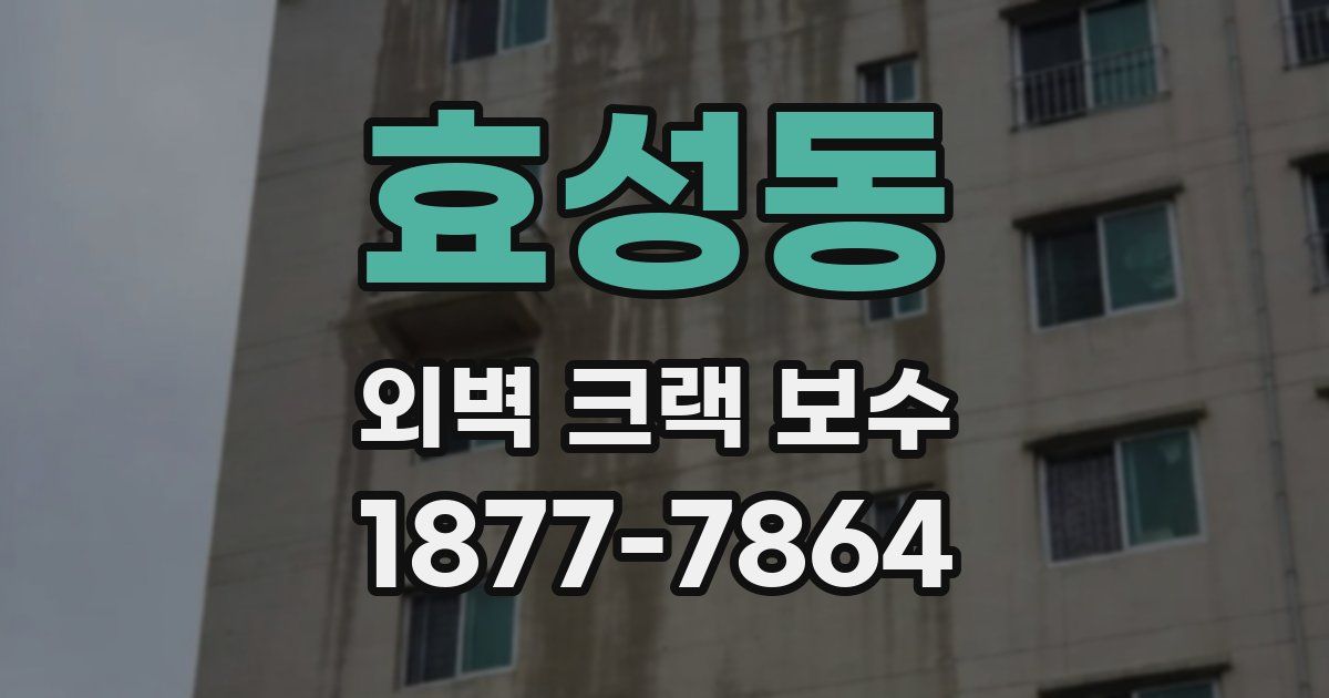 효성동 외벽 크랙 보수