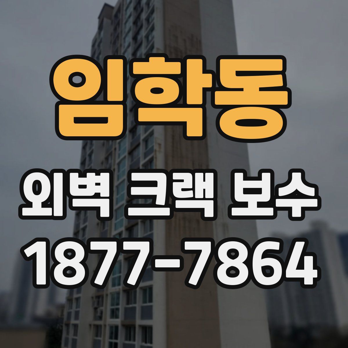 임학동 외벽 크랙 보수