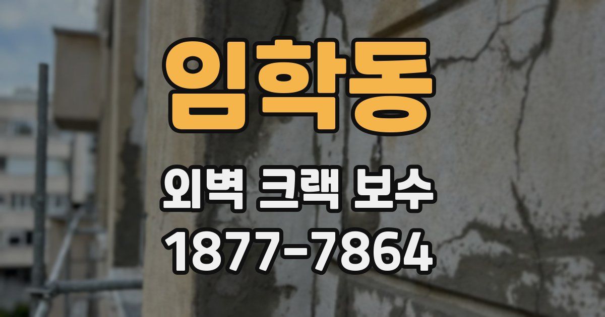임학동 외벽 크랙 보수
