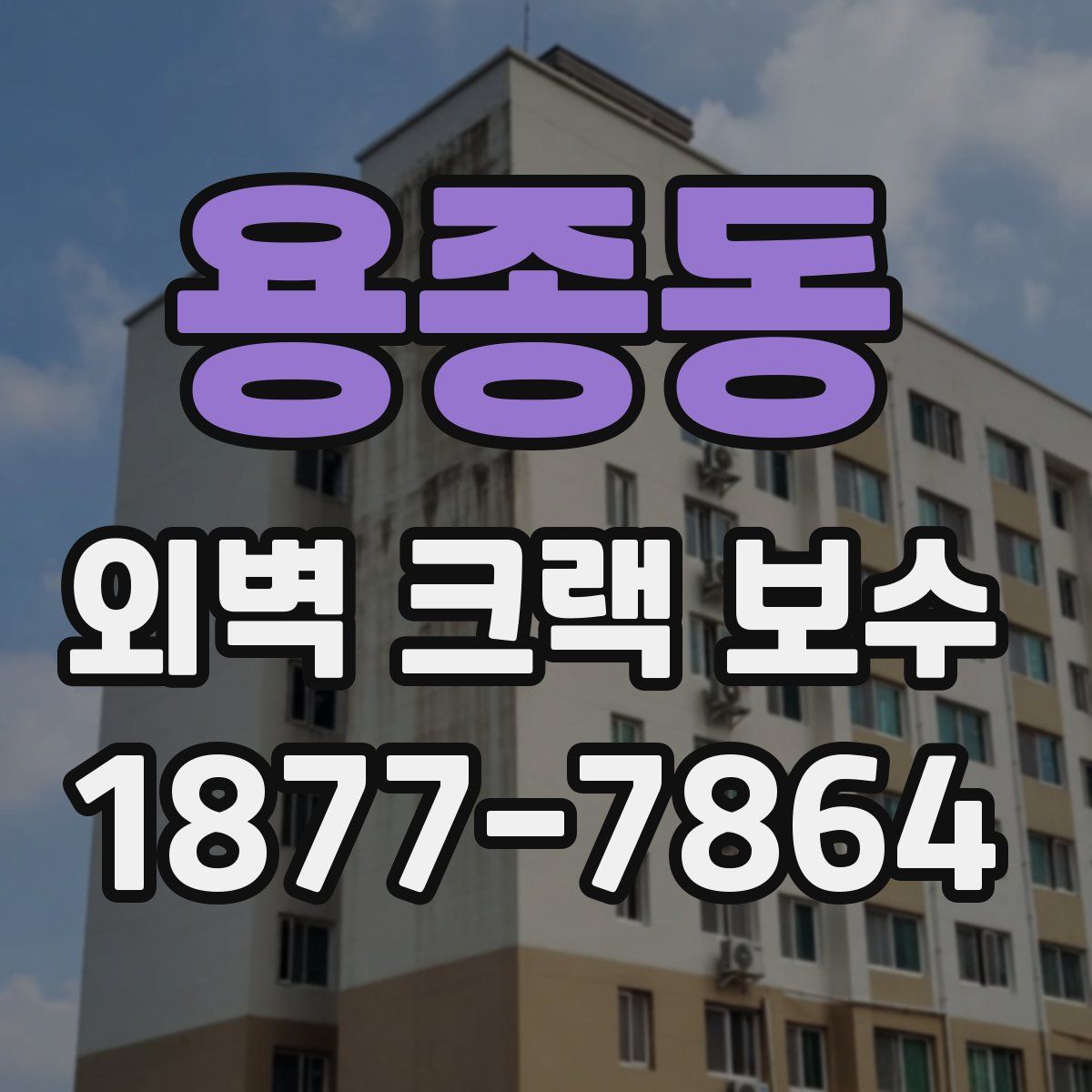 용종동 외벽 크랙 보수