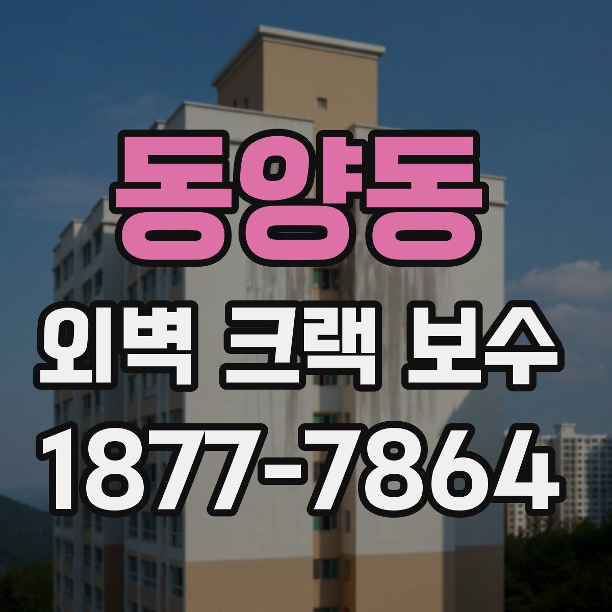 동양동 외벽 크랙 보수