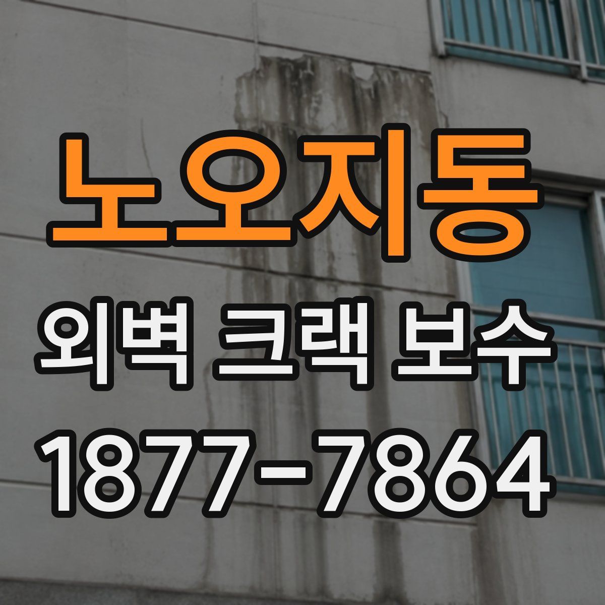 노오지동 외벽 크랙 보수