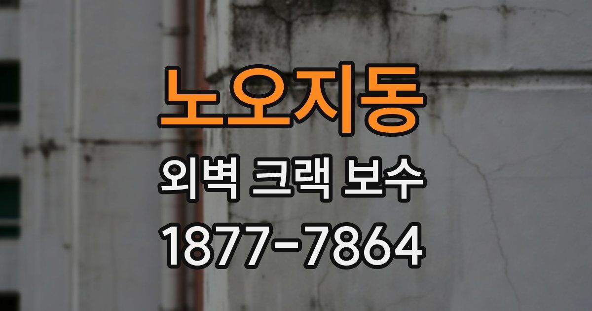 노오지동 외벽 크랙 보수