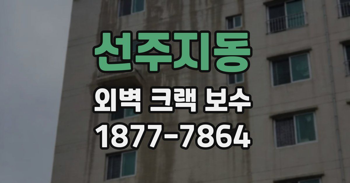 선주지동 외벽 크랙 보수