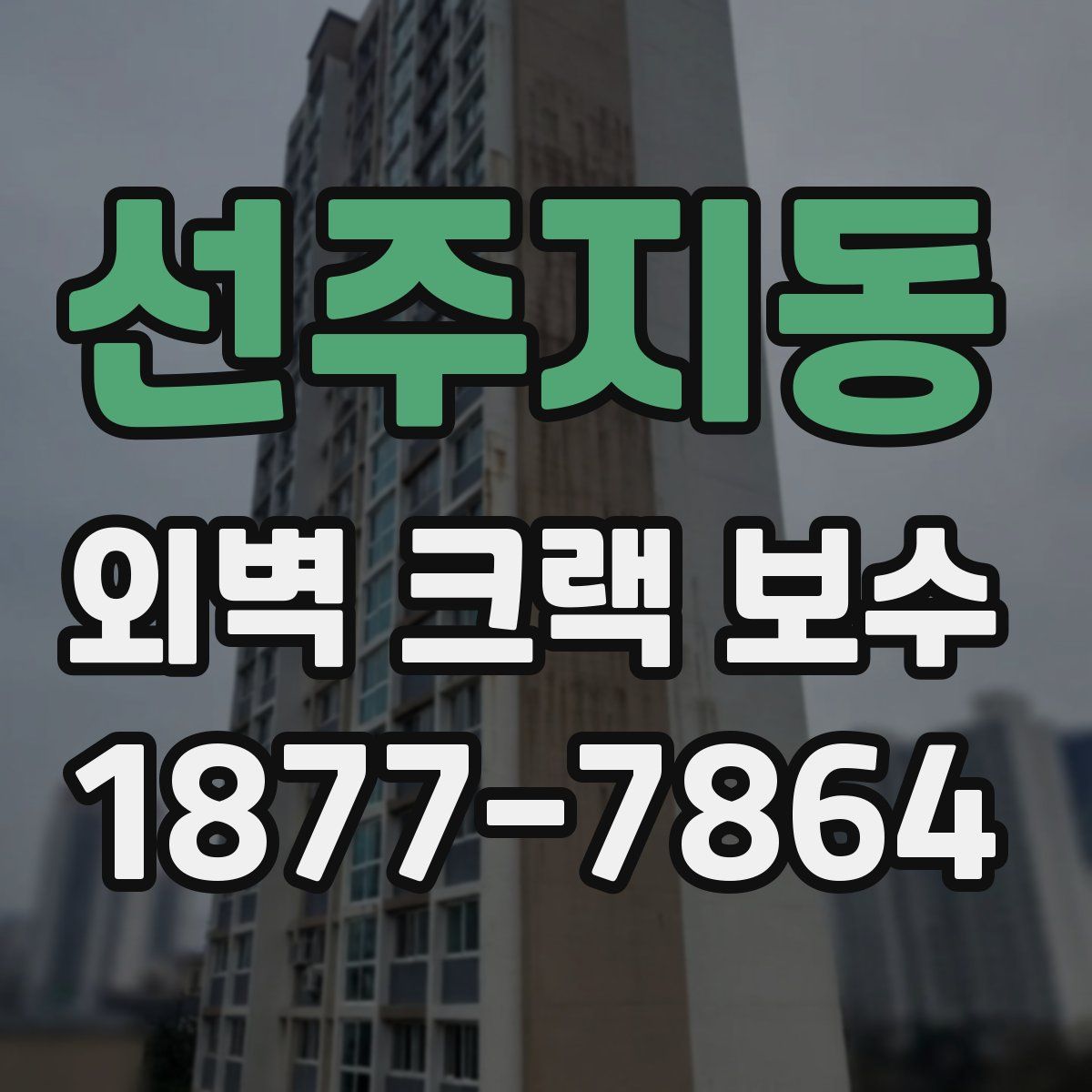 선주지동 외벽 크랙 보수