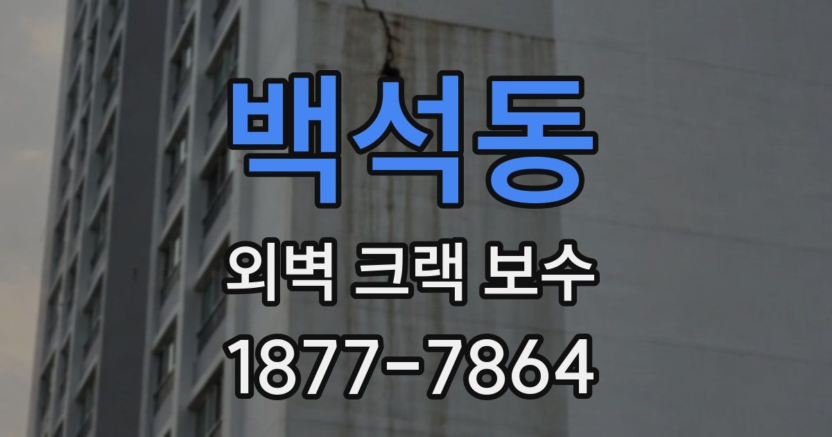 백석동 외벽 크랙 보수