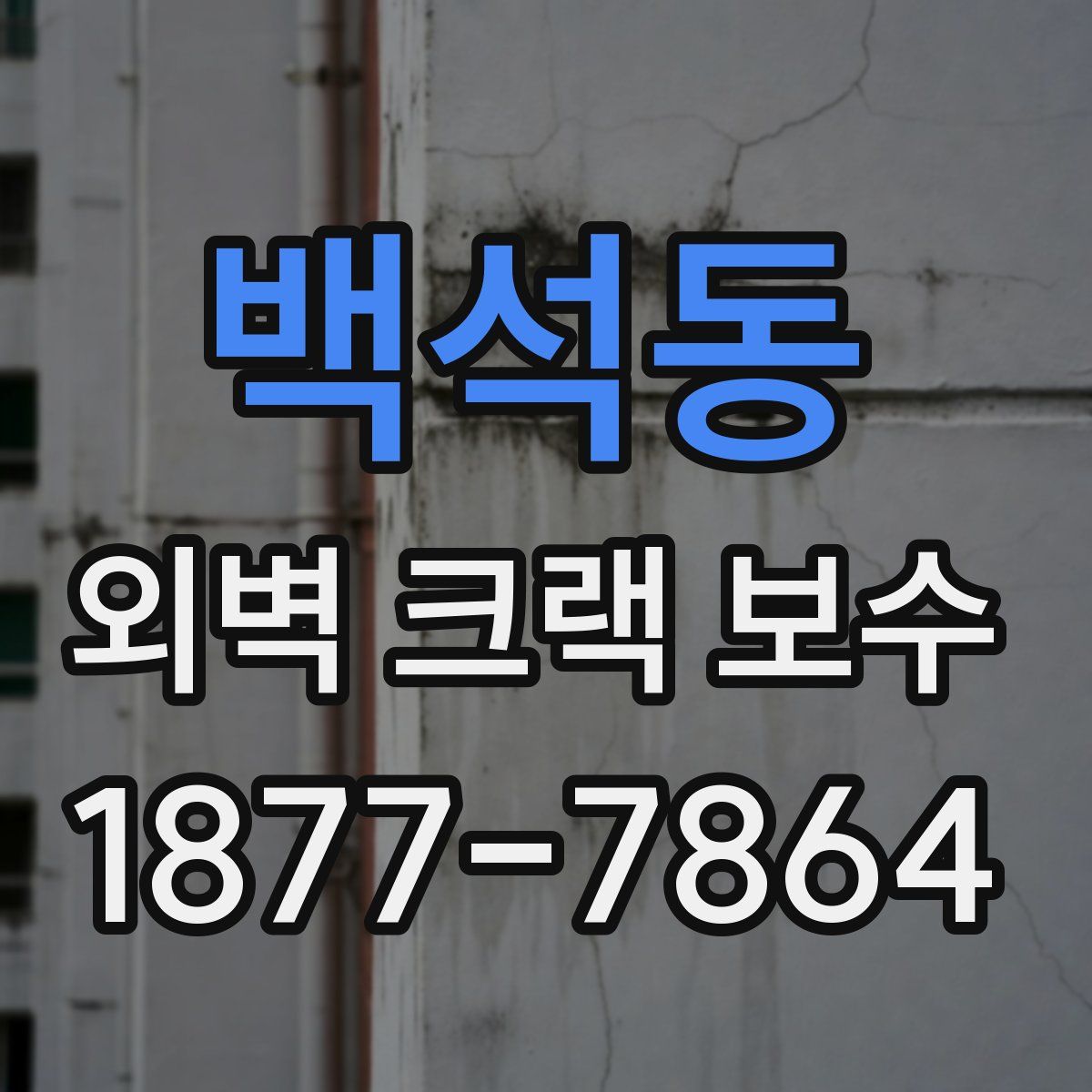백석동 외벽 크랙 보수