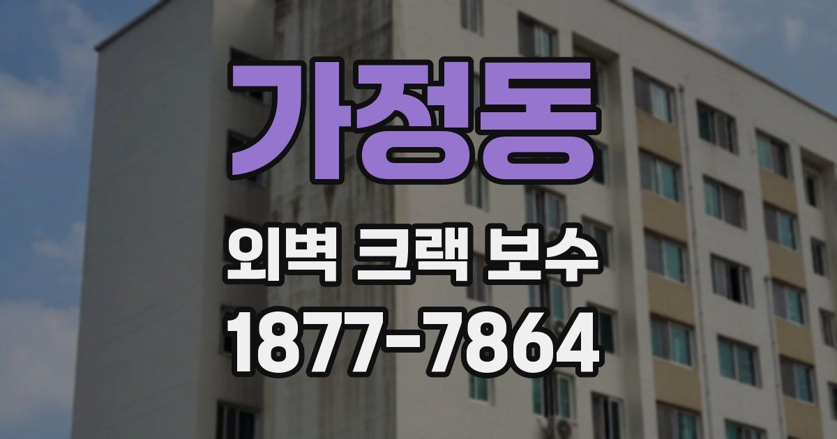 가정동 외벽 크랙 보수