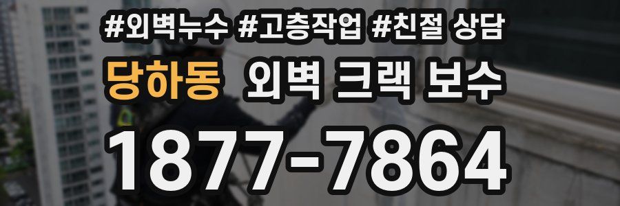 당하동 외벽 크랙 보수