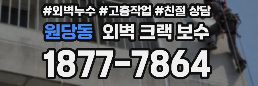 원당동 외벽 크랙 보수