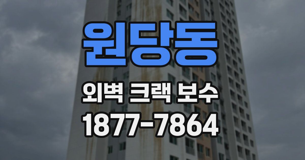 원당동 외벽 크랙 보수
